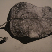 Dsc00045_card