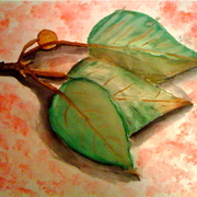 Photo-11_card