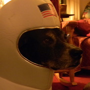 Astronaut3_card