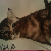 Imag0461_card