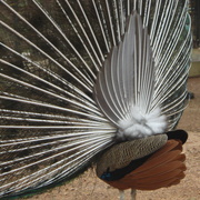 Dsc01080_card