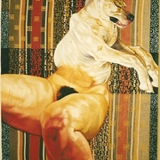 Perros_ii_card