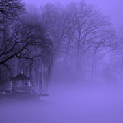 100_4933_card