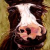 Chester_thumb
