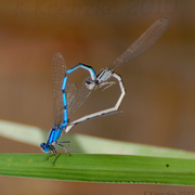 Dsc_9297_edited-1_card