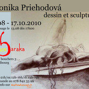 Flier_082010_vpjpg_card