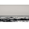 12x5_1_thumb