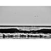 12x5_2_thumb