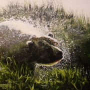 Shaking_bear_s_card
