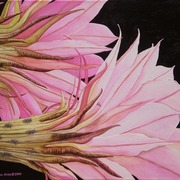 Easterlilycactus4web_card