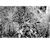 12x5_10_thumb