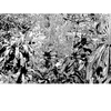 12x5_13_thumb