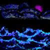 Sea_at_night_thumb