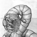 Worm2_square