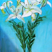Lilly_card
