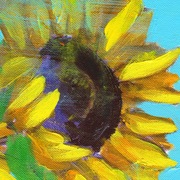Florals_009_card