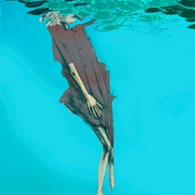 Acqua_card