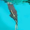 Acqua_thumb
