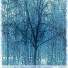 Winterscene3_thumb