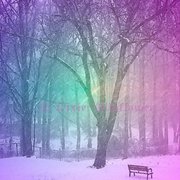 Winterscene_card