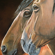 Horses_s_card