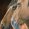 Horses_s_thumb