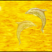 Sunset_card