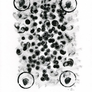 Scan_card