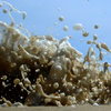 Waves_3