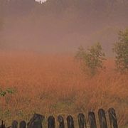 Wieczorne_1_card