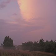 Wieczorowe_5_card