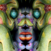 Snakeface_card