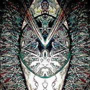346540744837_0_0_card