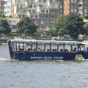 Bostonducktour_card