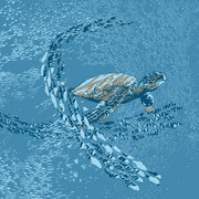 The-turtle-way_card