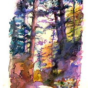 Floresta_card