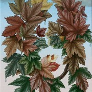 2316-flora_osenn_copy_card