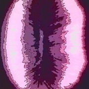 347435283973_0_0_card