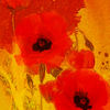 Mellow_yellowz_thumb