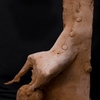 Cuc02_thumb