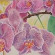 Spring_2006_028_card