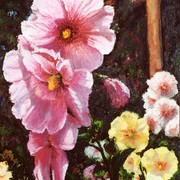 Beaconhillhollies_card