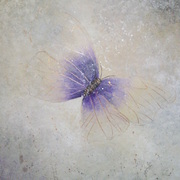 P5250169_card