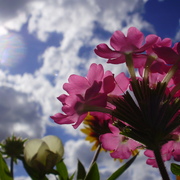 P6160124_card