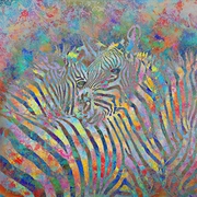 Zebracolor600x600_card