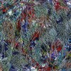 Winterforest_thumb