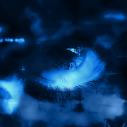 The-eye_2_card
