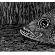 Fish_head_card