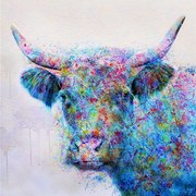 Paintedcowweb_card