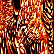 13_modelo_woman_card